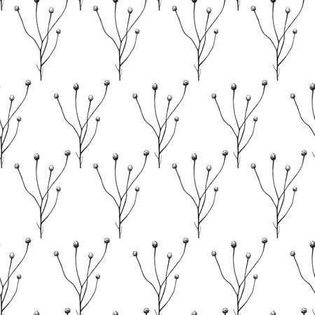 Seamless pattern. Vector illustration with wildflower. Doodle sketch.のイラスト素材