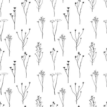 Seamless pattern. Vector illustration with wildflower. Doodle sketch.のイラスト素材
