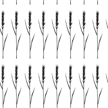 Seamless pattern. Drawing of cereals - spikelets of wheat. Vector illustration. Black sketchのイラスト素材