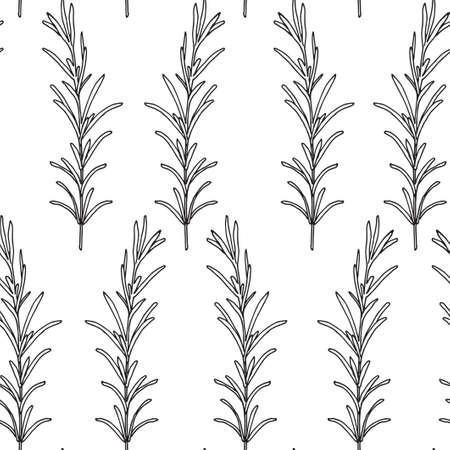 Seamless pattern. Vector illustration with rosemary branch.のイラスト素材