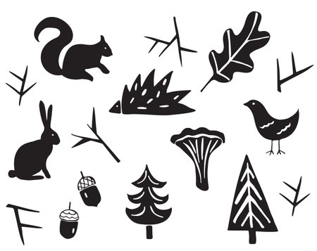 Drawing of forest elements - branches; mushroom; leaf; tree; bird; acorn.の写真素材