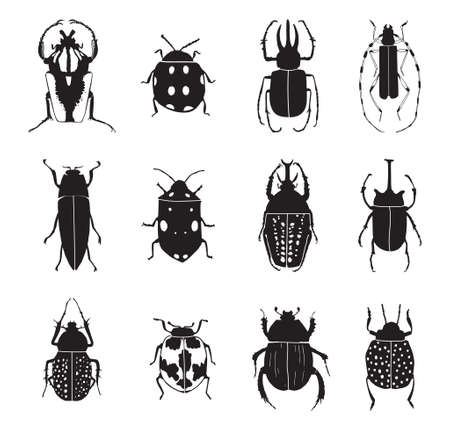 Vector illustration. Drawing of bugs.のイラスト素材