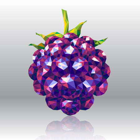 Wild Forest Berry Blackberry in Polygon Styleのイラスト素材