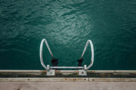 Ladder With Algae Into Sea Wood Mooringの写真素材