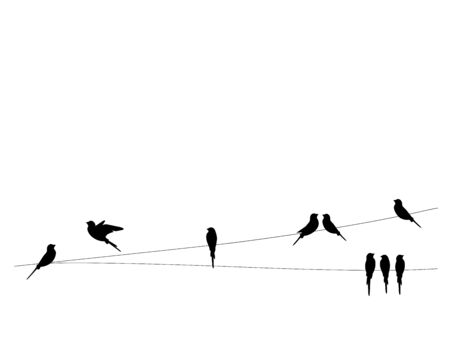 Birds silhouettes on wire, vector. Wall decals, wall art work. Scandinavian minimalist poster design isolated on white background. Flying bird silhouette, illustration.のイラスト素材