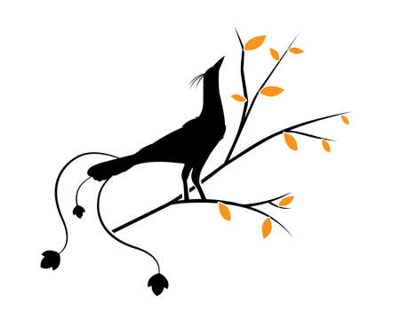 Bird on branch, vector. Bird silhouette on tree in autumn. Wall decals isolated on white background. Wall art, artwork, poster design. Minimalist art designのイラスト素材