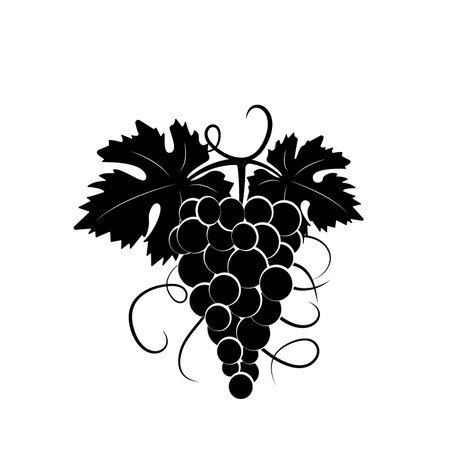 Branch with grape silhouette illustration isolated on white background, vector. Grape silhouette with leaves. Black and white minimalist art design. Fruit, healthy foodのイラスト素材