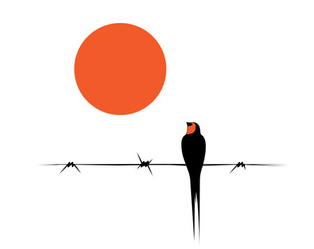 Bird silhouette on wire and sun illustration, vector. Scandinavian minimalism art design. Birds illustration isolated on white background. Wall art, artwork, poster design. Bird on barbed wireのイラスト素材