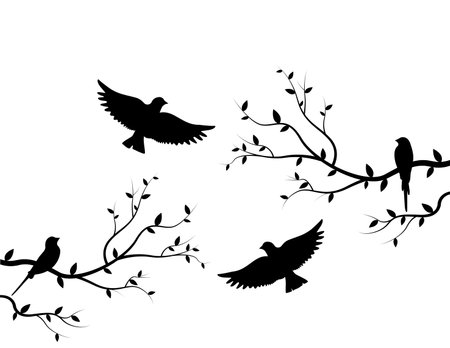 Birds Silhouettes on Branch, Vector. Birds couple silhouette on branch isolated on white background, illustration. Wall Decals, Wall Art Decoration. Wall artworkのイラスト素材