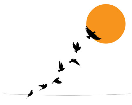 Birds on wire and flying birds silhouettes on sunset, vector. Scandinavian minimalism art design. Birds illustration isolated on white background. Wall art, artwork, poster design. Freedom conceptのイラスト素材