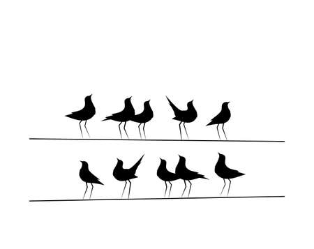 Birds On Wire Vector, Wall Decor, Birds Silhouettes. Minimalist poster design, banner design. Eleventh Birds on Wire Illustration, Wall Art Decor, Wall Decals isolated on white backgroundのイラスト素材