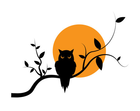 Owl silhouette on branch on sunset, vector. Owl silhouette on the tree, illustration isolated on white background. Cartoon illustration. Wall art, artwork, wall decals. Minimalist poster designのイラスト素材