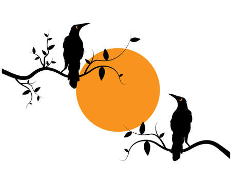 Birds Couple Silhouettes on Branch on sunset, Vector. Crow Birds illustration isolated on white background. Wall Decals, Art Decoration, Wall Decor, Wall artworkのイラスト素材