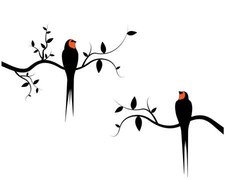 Birds silhouettes on branch, vector. Barn swallow birds silhouette on branch isolated on white background, illustration. Wall Decals, Wall Art Decoration. Wall artworkのイラスト素材