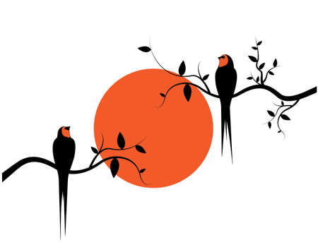 Birds silhouettes on branch on sunset, Vector. Barn swallows couple silhouettes on branch isolated on white background, illustration. Wall Decals, Wall Art Decoration. Wall artworkのイラスト素材