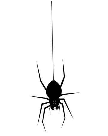 Spider silhouette isolated on white background, vector. Spider illustrationのイラスト素材
