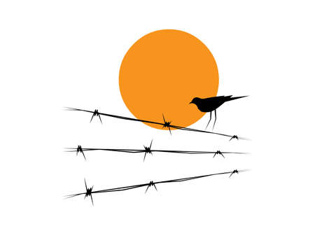 Bird silhouette on wire on sunset, vector. Bird illustration, illustration. Wall decals, art decoration, wall artwork. Bird silhouette on wire isolated on white backgroundのイラスト素材