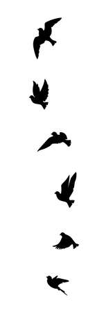 Flying birds silhouettes isolated on white background, vector. Birds illustration. Wall art, artwork, poster design. Freedom conceptのイラスト素材