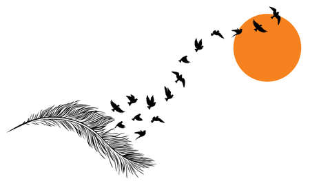 Feather illustration with flying birds silhouettes on sunset, vector. Black and white minimalist poster design.のイラスト素材