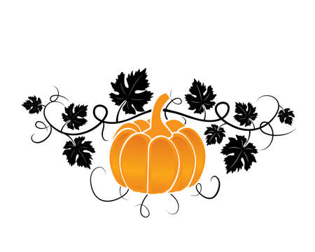 Pumpkin illustration on branch isolated on white background, vector. Art design, artwork.のイラスト素材