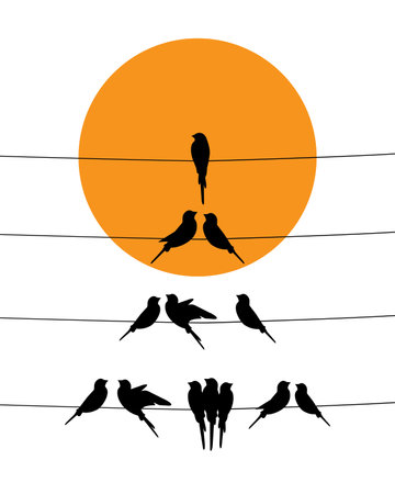 Birds silhouettes on wire on sunset, vector. Wall decals, wall artwork. Scandinavian minimalist art design. Poster design isolated on white background.のイラスト素材