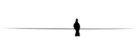Bird silhouette on wire, vector. Bird silhouette on branch isolated on white background, illustration. Wall Decals, Wall Art Decoration. Wall artwork. Minimalist poster designのイラスト素材