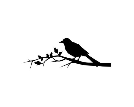 Bird silhouette on branch, vector. Bird illustration isolated on white background. Black and white art designのイラスト素材