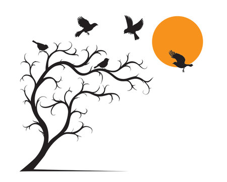 Flying birds silhouettes and tree in autumn and sunset, vector. Wall decals isolated on white background, illustration. Minimalist art designのイラスト素材
