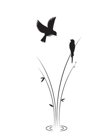 Birds silhouette and water ride, vector. Two birds silhouettes and water ride plant illstration isolated on white background. Minimalist black and white art designのイラスト素材