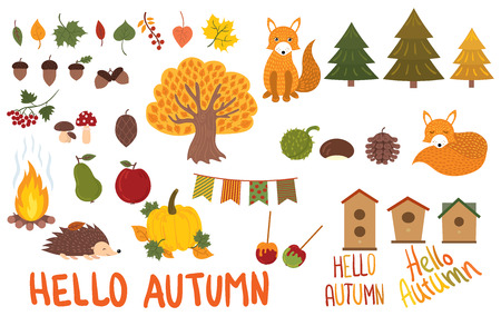 A set of autumn elements. Collection of autumn animals and plants. Vector illustration.のイラスト素材