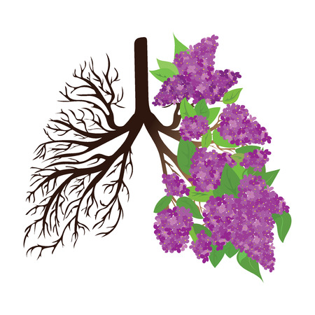 Human lungs. Respiratory system. Healthy lungs. Light in the form of a tree. Line art. Drawing by hand. Medicine.のイラスト素材