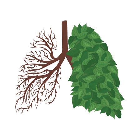 Human lungs icon.のイラスト素材