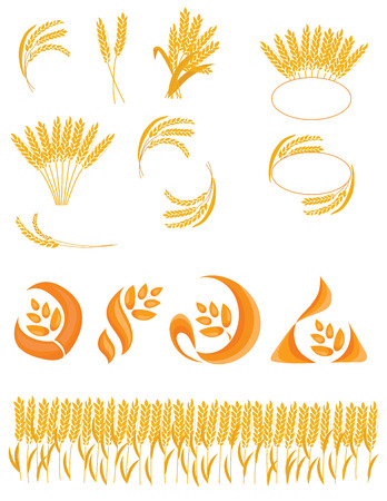 Set of spikelets of wheat. Collection of logos with wheat. Vector illustration of a plant. Logo.のイラスト素材