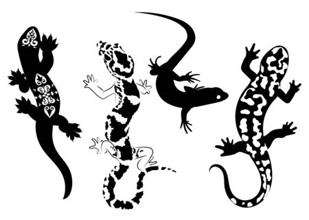 Set of stylized lizard. A collection of decorative lizards. Black white reptile illustration.のイラスト素材