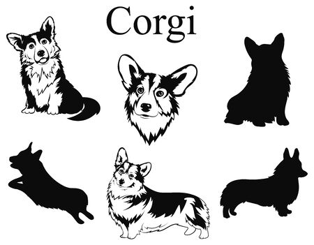 Set of corgi. Collection of dogs. Black and white illustration of a dog corgi. Vector drawing of a pet. Tattoo.のイラスト素材