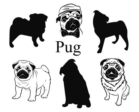 Set of pugs. Collection of pedigree dogs. Black and white illustration of a pug dog. Vector drawing of a pet. Tattoo.のイラスト素材