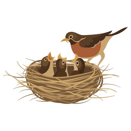 Cartoon birds nest with chicks. Vector illustration for children. Springtime.のイラスト素材
