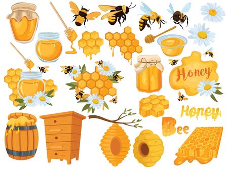 Honey set. Collection of beekeeping. Cartoon apiary set. Illustration of beehive, bees and honeycombs. Vector drawing of honey for children.のイラスト素材