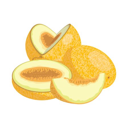 Cartoon melon. Juicy sliced fruit. Drawing for children. Illustration on white background.のイラスト素材