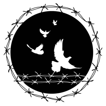 Pigeons in barbed wire. Flying birds through the fence.のイラスト素材