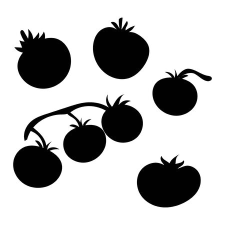 Set of vector silhouettes of tomatoes. Collection of black silhouettes of vegetables. Stylized plantsのイラスト素材
