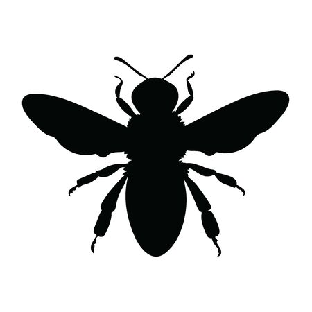 Silhouette of a honey bee. Contours of a wasp. Black bee.のイラスト素材