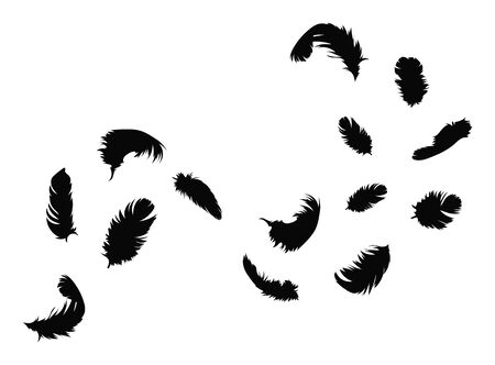 Flock of flying feathers. A group of black silhouettes of feathers. falling bird feather.のイラスト素材