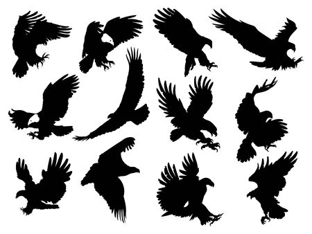 Set of silhouette eagles. Collection of flying eagles. Black white illustration of birds of prey.のイラスト素材