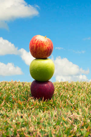Assorted coloured apples stacked together on the green grass.の写真素材