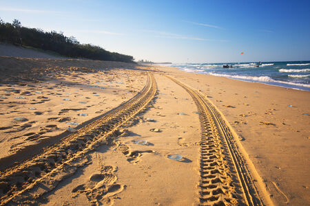 Beach in the afternoon with tyre tracks and jellyfish at the Sunshine Coast, QLD.の写真素材