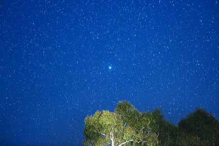Stars at night in the outback of Brisbane Queensland Australia.