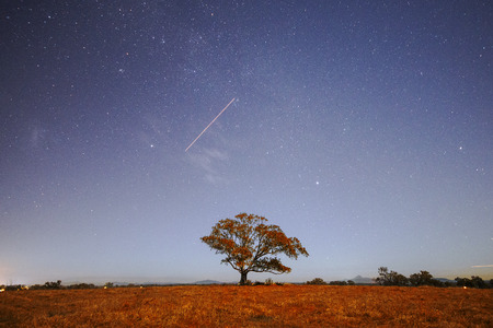 Stars at night in the outback of Brisbane Queensland Australia.