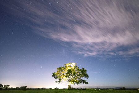 Stars at night in the outback of Brisbane Queensland Australia.の写真素材