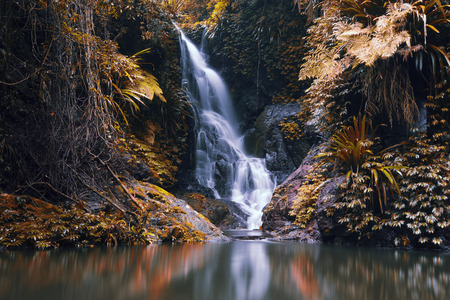 Waterfall with orange and red colours in the Gold Coast hinterlands on the Queensland and New South Wales border.の写真素材